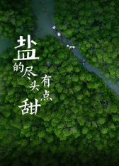 盐的尽头有点甜