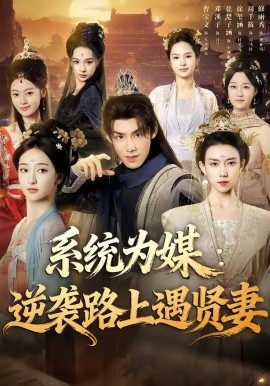 系统为媒逆袭路上遇贤妻